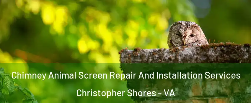 Chimney Animal Screen Repair And Installation Services Christopher Shores - VA