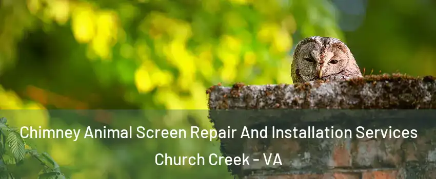 Chimney Animal Screen Repair And Installation Services Church Creek - VA