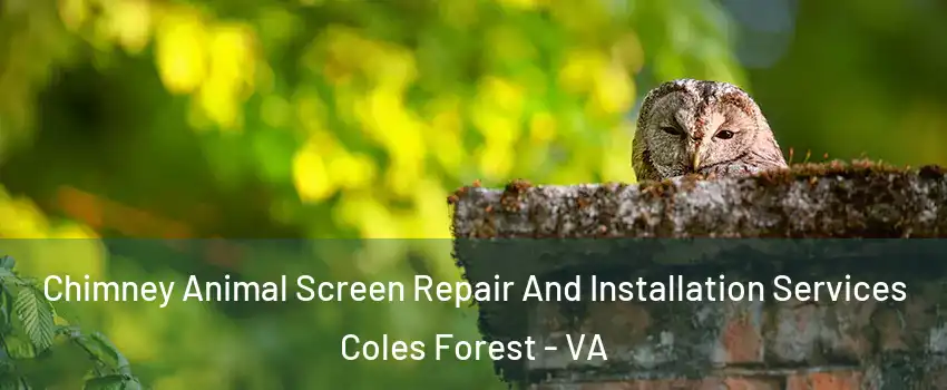 Chimney Animal Screen Repair And Installation Services Coles Forest - VA