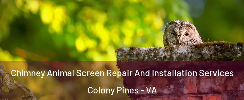 Chimney Animal Screen Repair And Installation Services Colony Pines - VA