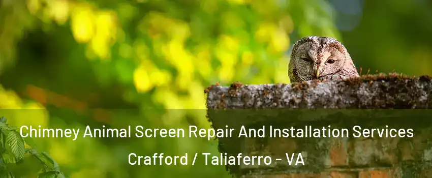 Chimney Animal Screen Repair And Installation Services Crafford / Taliaferro - VA