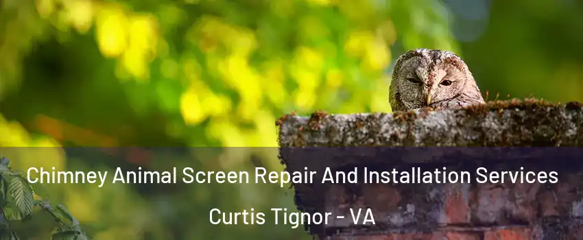 Chimney Animal Screen Repair And Installation Services Curtis Tignor - VA