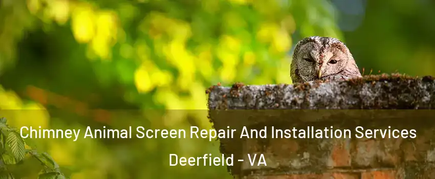 Chimney Animal Screen Repair And Installation Services Deerfield - VA