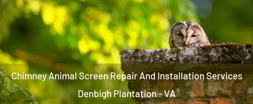 Chimney Animal Screen Repair And Installation Services Denbigh Plantation - VA