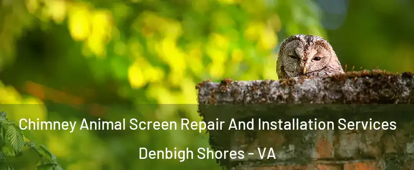 Chimney Animal Screen Repair And Installation Services Denbigh Shores - VA