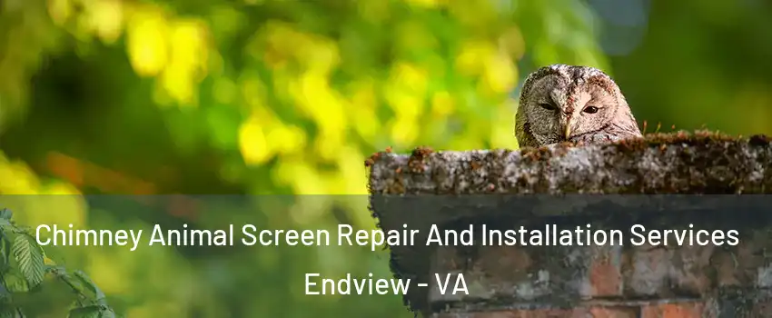 Chimney Animal Screen Repair And Installation Services Endview - VA