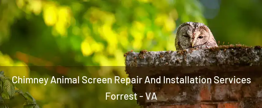 Chimney Animal Screen Repair And Installation Services Forrest - VA