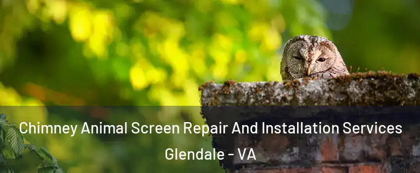 Chimney Animal Screen Repair And Installation Services Glendale - VA