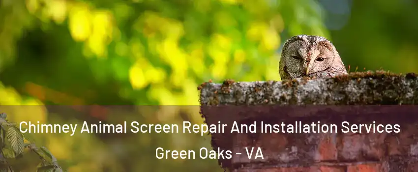 Chimney Animal Screen Repair And Installation Services Green Oaks - VA