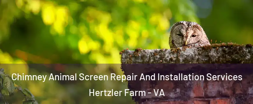 Chimney Animal Screen Repair And Installation Services Hertzler Farm - VA