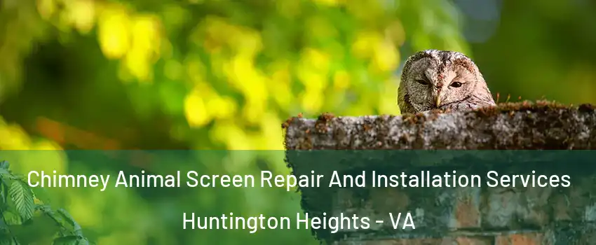 Chimney Animal Screen Repair And Installation Services Huntington Heights - VA