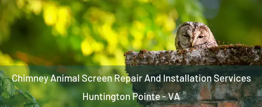 Chimney Animal Screen Repair And Installation Services Huntington Pointe - VA
