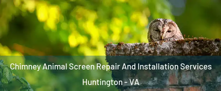 Chimney Animal Screen Repair And Installation Services Huntington - VA