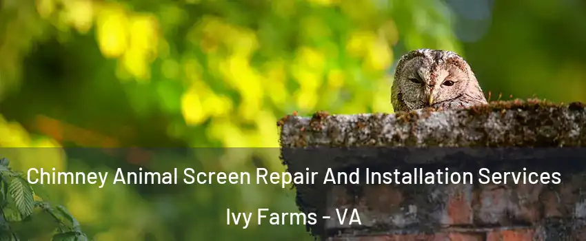 Chimney Animal Screen Repair And Installation Services Ivy Farms - VA