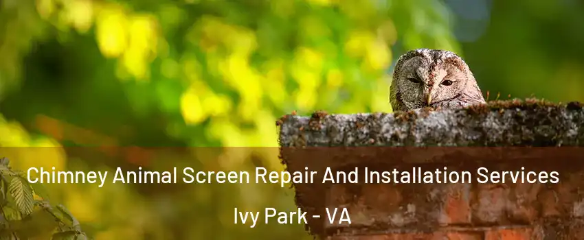 Chimney Animal Screen Repair And Installation Services Ivy Park - VA