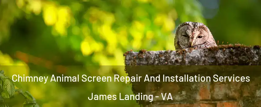 Chimney Animal Screen Repair And Installation Services James Landing - VA