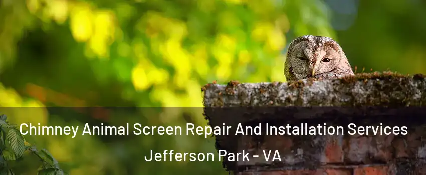 Chimney Animal Screen Repair And Installation Services Jefferson Park - VA