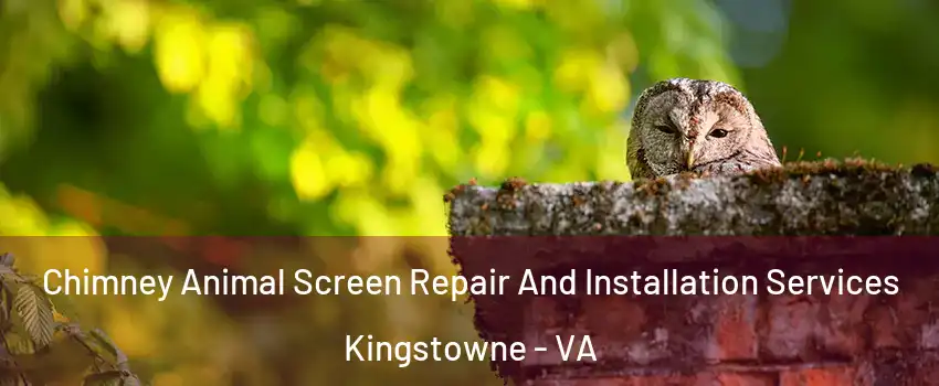 Chimney Animal Screen Repair And Installation Services Kingstowne - VA