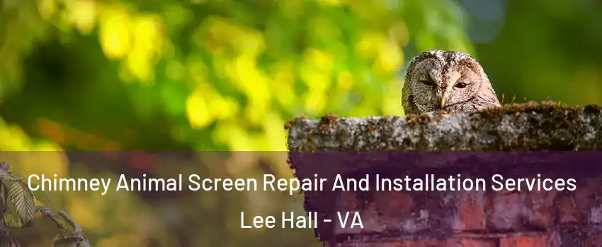 Chimney Animal Screen Repair And Installation Services Lee Hall - VA