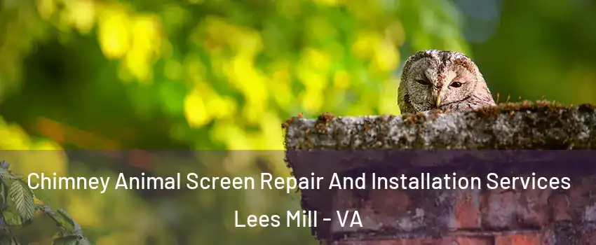 Chimney Animal Screen Repair And Installation Services Lees Mill - VA
