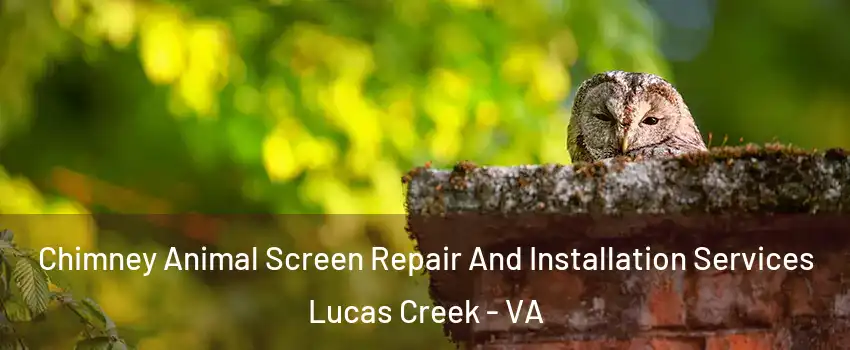 Chimney Animal Screen Repair And Installation Services Lucas Creek - VA