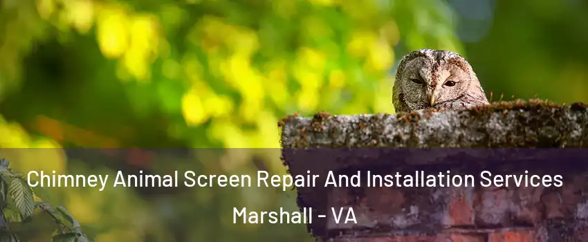 Chimney Animal Screen Repair And Installation Services Marshall - VA