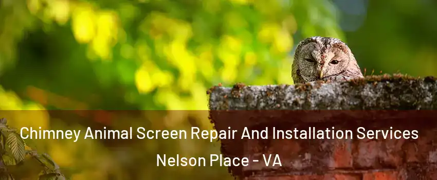 Chimney Animal Screen Repair And Installation Services Nelson Place - VA