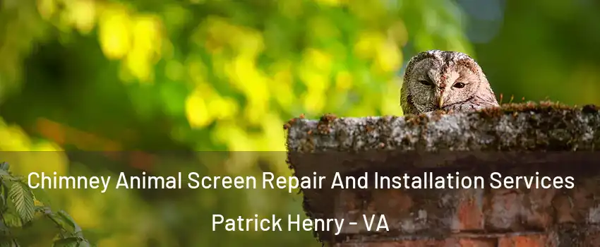 Chimney Animal Screen Repair And Installation Services Patrick Henry - VA