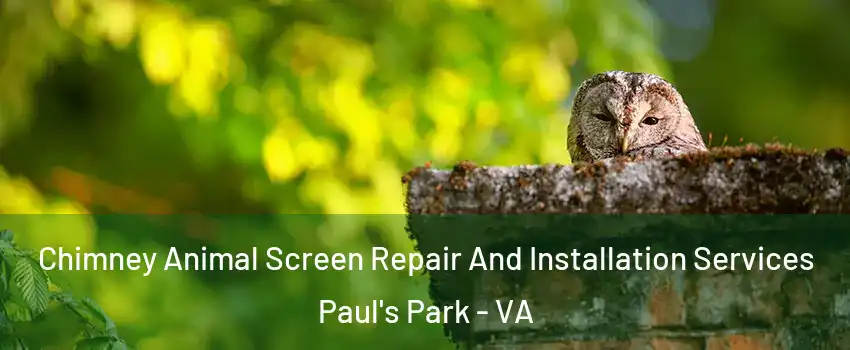 Chimney Animal Screen Repair And Installation Services Paul's Park - VA