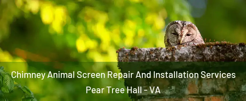 Chimney Animal Screen Repair And Installation Services Pear Tree Hall - VA