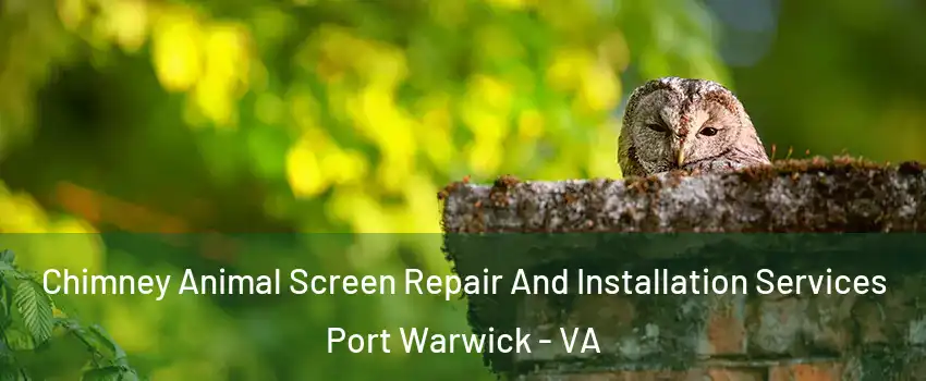 Chimney Animal Screen Repair And Installation Services Port Warwick - VA