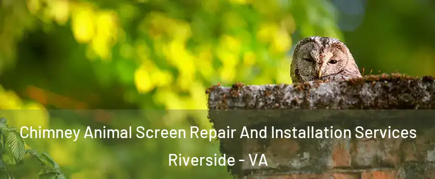 Chimney Animal Screen Repair And Installation Services Riverside - VA