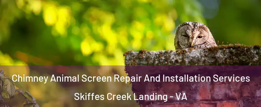 Chimney Animal Screen Repair And Installation Services Skiffes Creek Landing - VA