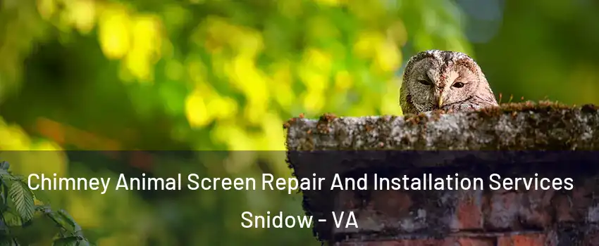 Chimney Animal Screen Repair And Installation Services Snidow - VA