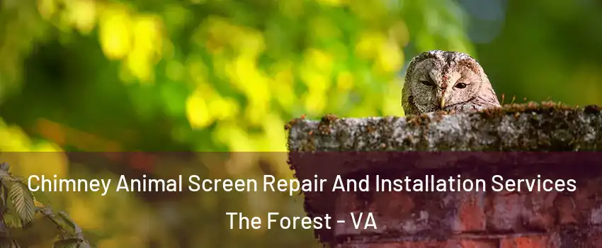 Chimney Animal Screen Repair And Installation Services The Forest - VA