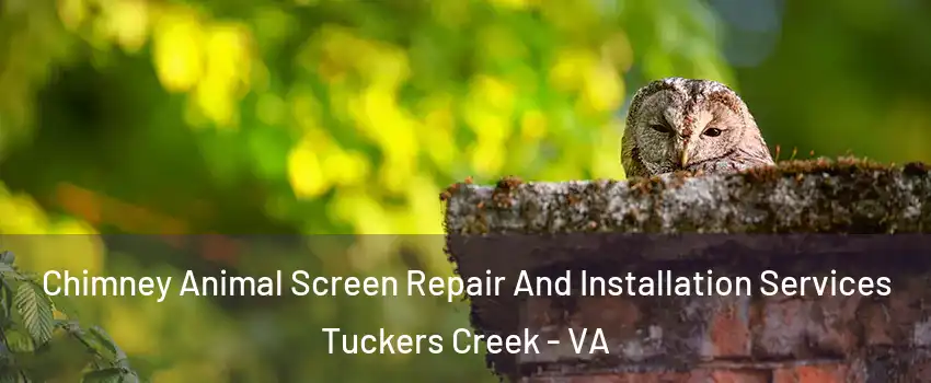 Chimney Animal Screen Repair And Installation Services Tuckers Creek - VA
