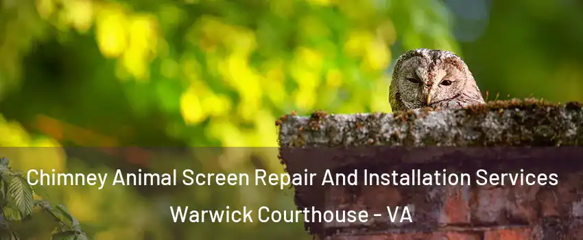 Chimney Animal Screen Repair And Installation Services Warwick Courthouse - VA