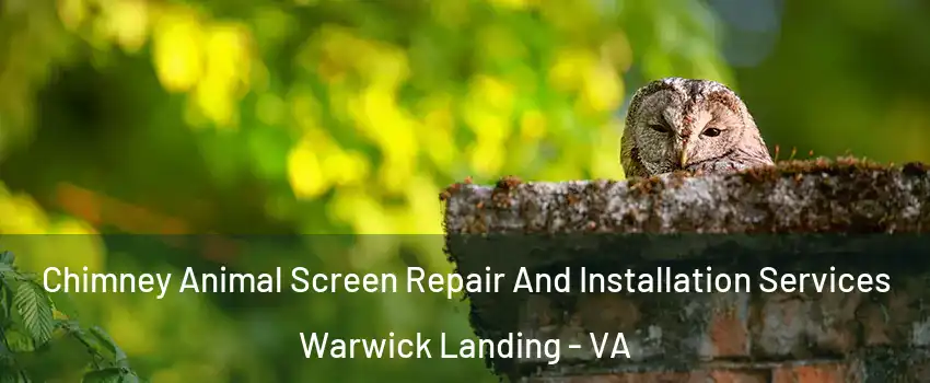 Chimney Animal Screen Repair And Installation Services Warwick Landing - VA