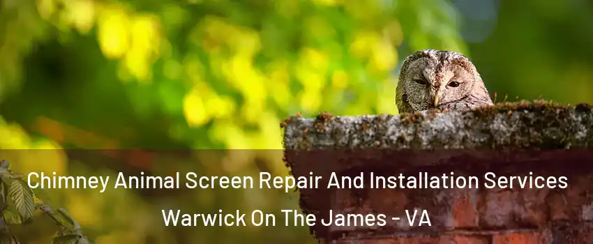 Chimney Animal Screen Repair And Installation Services Warwick On The James - VA