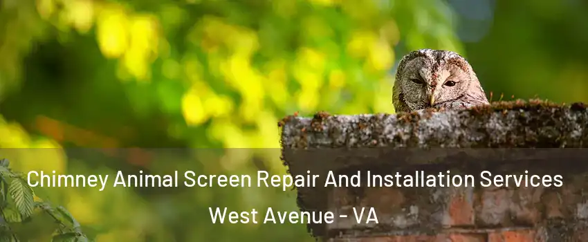 Chimney Animal Screen Repair And Installation Services West Avenue - VA