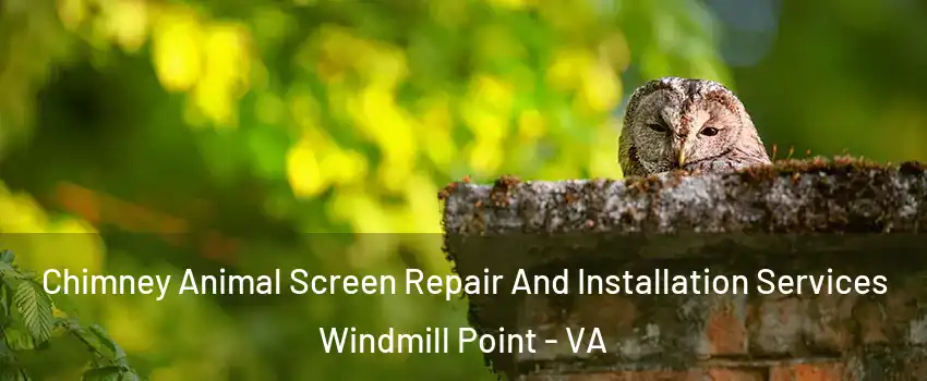 Chimney Animal Screen Repair And Installation Services Windmill Point - VA