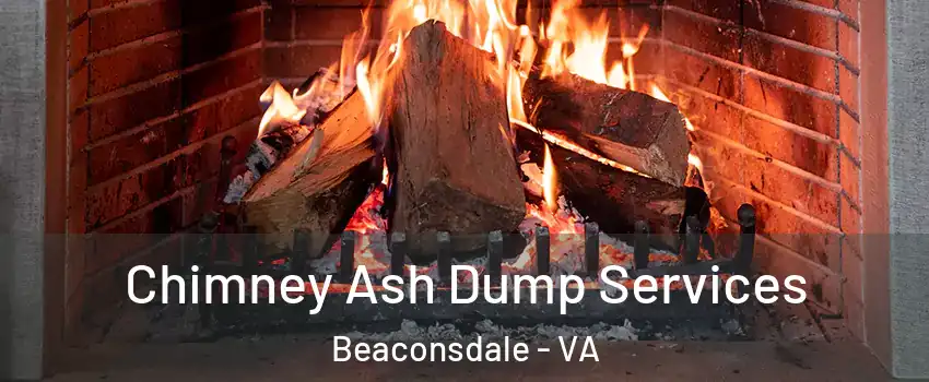 Chimney Ash Dump Services Beaconsdale - VA