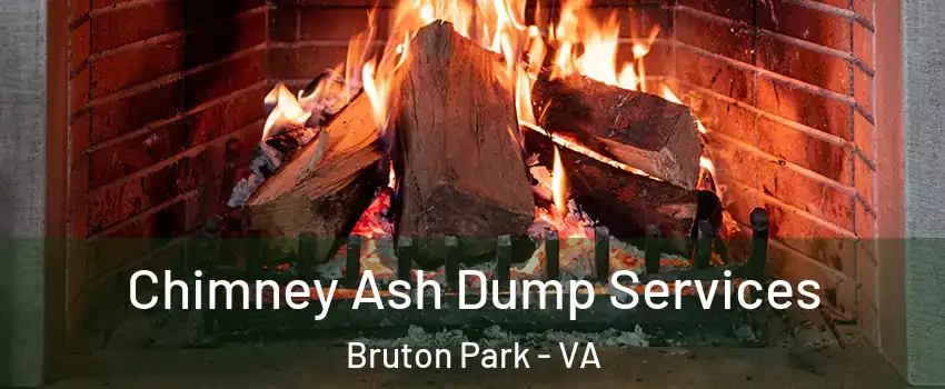 Chimney Ash Dump Services Bruton Park - VA