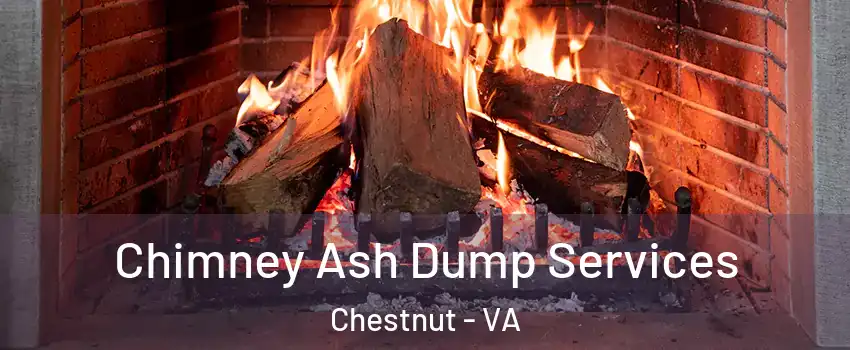 Chimney Ash Dump Services Chestnut - VA