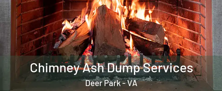 Chimney Ash Dump Services Deer Park - VA