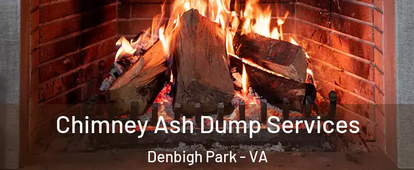 Chimney Ash Dump Services Denbigh Park - VA