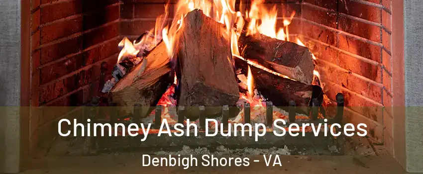 Chimney Ash Dump Services Denbigh Shores - VA