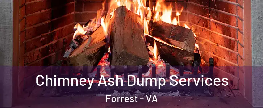 Chimney Ash Dump Services Forrest - VA