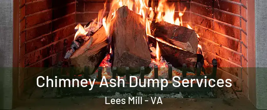Chimney Ash Dump Services Lees Mill - VA