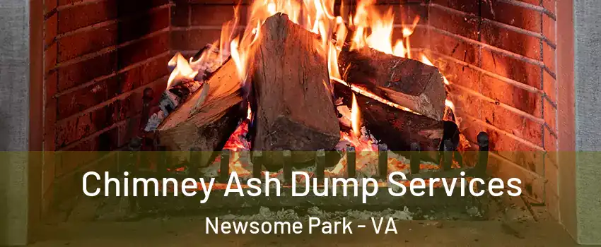 Chimney Ash Dump Services Newsome Park - VA
